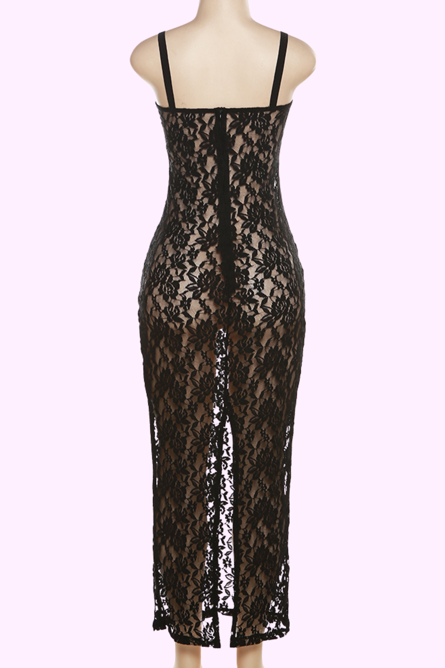 Sheer Elegance Maxi Dress